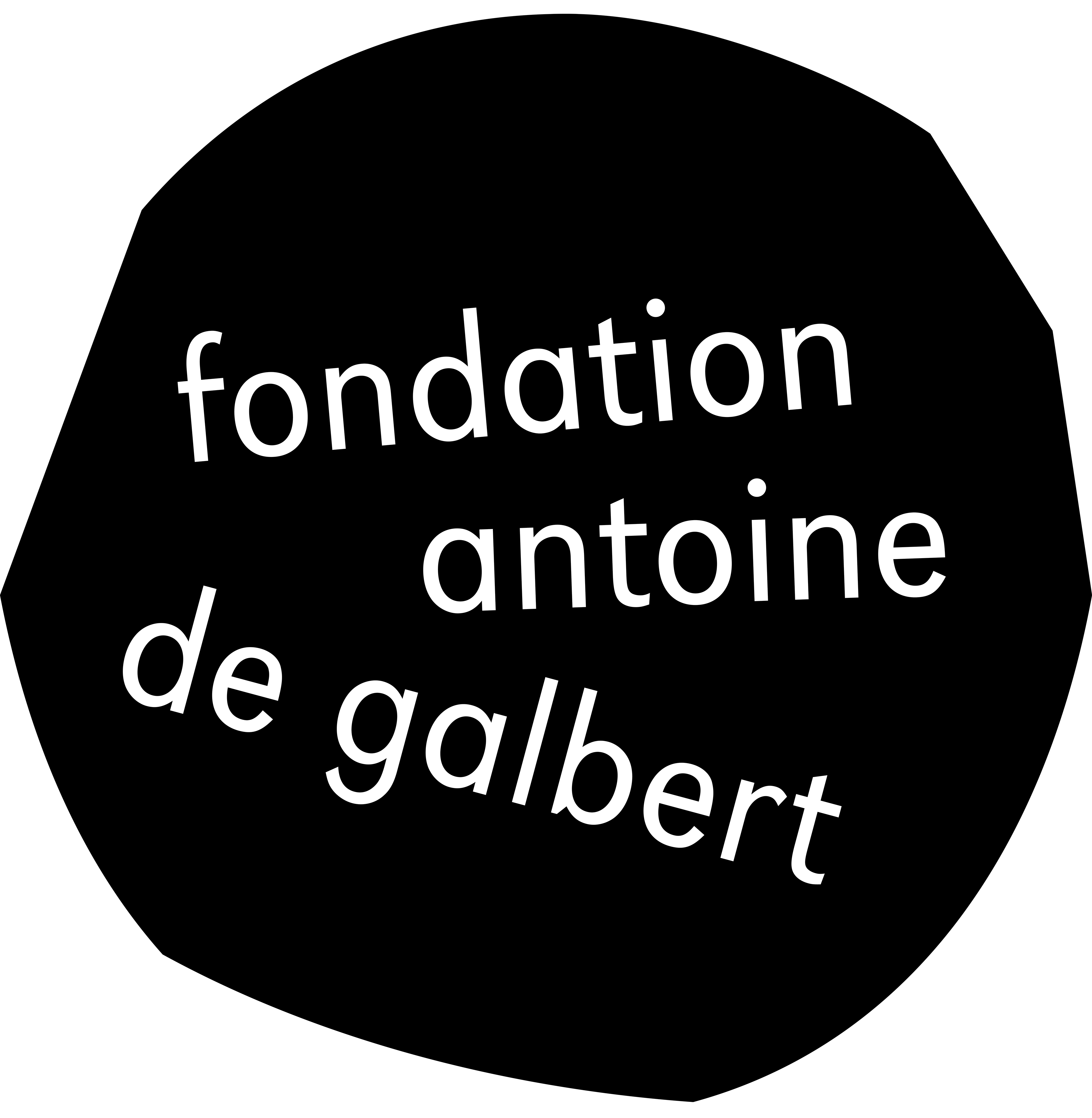 Fondation Antoine de Galbert
